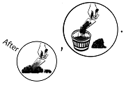 After I had mixed the soil and the manure together, I filled the pot with the mixture.