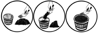 Planting a rose cutting